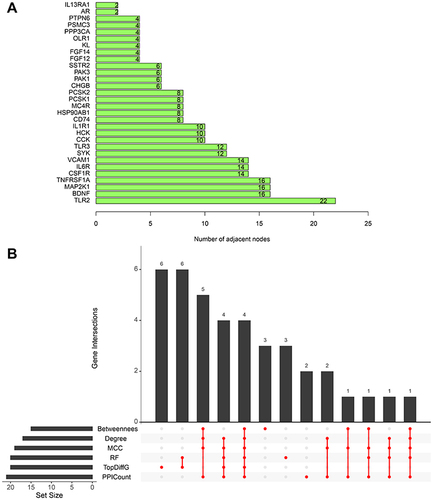 Figure 5 (A) The top 30 DEIRGs ranked by the number of nodes based on the PPI network. (B) UpSet plot present the intersection of six methods (Betweenness (top 15), Degree (top 15), MCC (top 15), PPICount (top 20), DiffGs (top 20), and RF (top 20)).