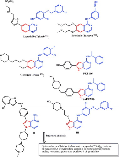 Figure 1. Examples of dual EGFR/ErbB2 inhibitors.