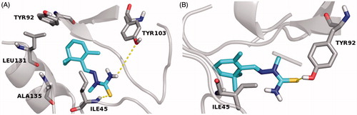 Figure 3. MD simulation last frame of both E (A) and Z (B) isomers of compound 5 and their H-bond/hydrophobic interactions within the HpPDF binding site. The E–Z isomers are rendered as carbon-cyan sticks, the pocket amino acids are labeled as carbon-gray sticks and the target is described as gray cartoon. All non-carbon atoms are colored according to atom types. For the colored version of this Figure, please refer to the online article.