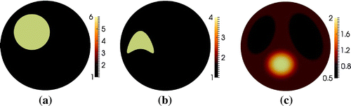Figure 2. Numerical phantoms. (a) Circular piecewise constant inclusion. (b) Kite-shaped piecewise constant inclusion. (c) Multiple C2 inclusions.