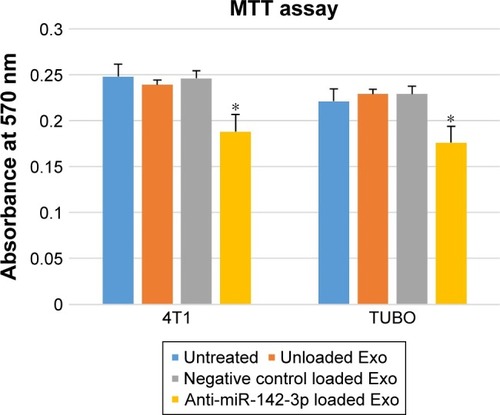 Figure 5 Evaluation of the cytotoxicity effect of exosome-based LNA-anti-miR- 142-3p delivery on 4T1 and TUBO cells.Notes: After 48 hours of co-culture, unloaded exosomes and LNA-anti-miR negative control loaded exosomes showed nonsignificant toxicity vs untreated cells, while LNA-anti-miR-142-3p loaded exosomes showed significant cytotoxicity in both 4T1 and TUBO cell lines (*P<0.05). The results are representative of three independent experiments.Abbreviation: LNA, locked nucleic acid.