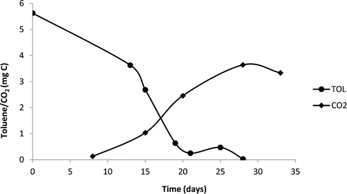 Figure 2. Graph of gas chromatography screening for toluene consumption and CO2 production by Cladophialophora immunda (strain 17, CBS 110551).
