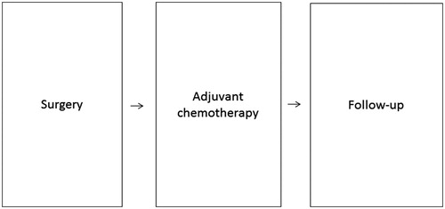 Figure 1. Overview of the treatment trajectory of patients with cancer in the pancreas, duodenum or bile-duct. The duration of adjuvant chemotherapy varies depending on diagnosis and the patient’s physical condition.