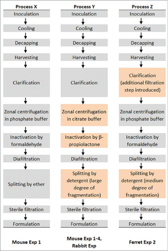 Figure 1. Flow diagram of antigen manufacturing processes employed by CI with corresponding preclinical studies which employed the antigens, with changes highlighted in orange shading. The process used to manufacture the Sanofi Pasteur H5N1 vaccine, used in Mouse Exp 3 and Ferret Exp 1, was similar to Process Z according to Treanor et al. New Eng J Med 2006, 354:1343 as well as the package insert.