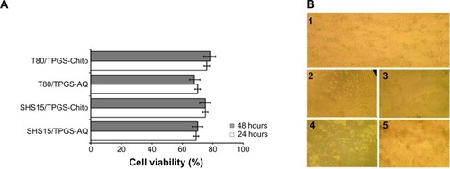 Figure 6 Biocompatibility assay of primary and layered NEs.Notes: Cell viability assay for lead Chito-layered NE formulations, compared with primary aqueous NEs – employing untreated culture media as negative control – all coincubated with (A) murine areolar fibroblast (L929) cells. Values are shown with ± SE. n=4–5. (B) Qualitative transmitted light micrographs demonstrating the morphology of unstained L929 cells, following 24-hour coincubation with various treatments: (1) negative control serum-free EMEM medium, (2) T80/TPGS-Chito NE, (3) T80/TPGS-AQ NE, (4) SHS15/TPGS-Chito NE, and (5) SHS15/TPGS-AQ NE. The selected liquid NEs were added to confluent cells (as two hundred fold dilutions) in serum-free EMEM medium.Abbreviations: AQ, aqueous; EMEM, Eagle’s minimal essential medium; NE, nanoemulsion; SE, standard error; SHS15, Solutol® HS-15; T80, Tween® 80; TPGS, tocopheryl polyethylene glycol succinate.