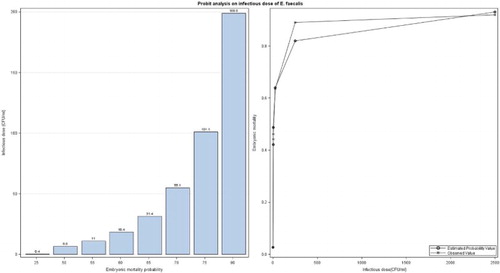 Figure 1. Probit analysis on infectious dose of E. faecalis strain K923/96. On the left, the dose level effect on the embryonic mortality and, on the right, the distribution dependent on the dose.