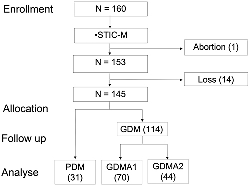 Figure 1 Flow chart of the study.