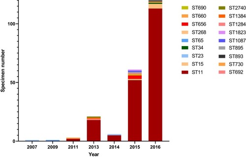 Figure 2 Clonal types of 214 CRKP in a hospital in Wenzhou, 2003–2016. For MLST-based categorization of these strains, the sequences of seven housekeeping genes (i.e., gapA, infB, mdh, pgi, phoE, rpoB, and tonB) were analyzed, and the ST pattern of each year was showed by colored band, which represented the difference in numbers. No CRKP were identified from 2003 to 2006.Abbreviation: ST, sequence type.