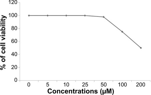 Figure 8 Effects of resveratrol on the viability of human ovarian cancer cells.Notes: The viability of A2780 human ovarian cancer cells was determined after 24-hour exposure to different concentrations of resveratrol using the WST-8 assay. The results are expressed as the mean ± standard deviation of three independent experiments. There was a significant difference observed above 50 μM. The viability of resveratrol-treated cells was compared to the untreated cells by Student’s t-test (P<0.05).