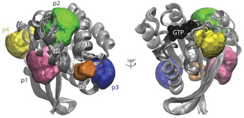 Figure 2. Druggable allosteric pockets on the catalytic domain of K-Ras. The sites most frequently targeted by published small molecules are pocket p1 near the core beta-sheet (pink) and pocket p2 between switch 2 and helix 3 (green). Pocket p3 near the C-terminus (blue) and pocket p4 behind switch 1 (yellow) are somewhat shallow and more polar than p1 and p2. See Grant et al. [Citation63], for a detailed structural analysis of the four pockets and Gupta et al. [Citation84], for a comparison of their druggability profile. Image reproduced from Grant et al. [Citation63]