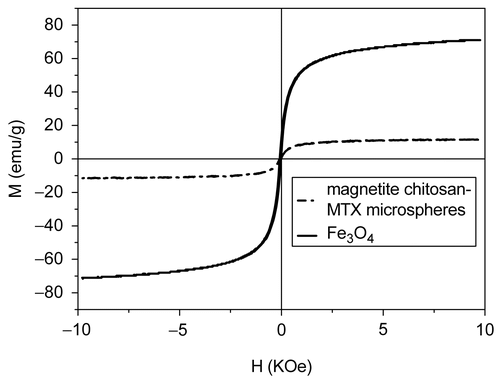Figure 8.  Magnetization curves for the prepared magnetite nanoparticles (solid) and magnetite chitosan-MTX microspheres (dash dot) at room temperature.
