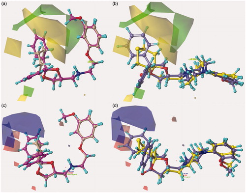 Figure 6. Contour map of Model I CoMFA steric regions are shown around the compounds 12 and 39 (a) and 52, 67 (b) while those of the electrostatic map are shown in (c) and (d).