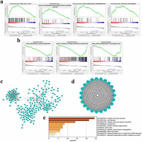 Figure 4. Pathway enrichment analyses by GSEA and PPI/metascape. (a) Signaling pathways were positively correlated with the risk score. (b) Signaling pathways were negatively correlated with the risk score. (c) The coexpressed genes of nine lncRNAs were used to build PPI network by STRING. (d) The most important module including key genes was identified by the MCODE plugin in Cytoscape. (e) Key genes mediating the crucial pathways were enriched by metascape