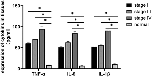 Figure 3. Determination of the expression levels of IL-1β, IL-8, and TNF-α in breast cancer tissues and adjacent normal tissues using ELISA (P < 0.05). Compared with those in normal adjacent tissues, TNF-α, IL-1 β, and IL-8 expression levels were significantly different at all cancer stages: early-stage (stage II), middle-stage (stage III), and late-stage (stage IV) (*P < 0.05).