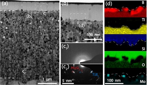 Figure 4. TEM analysis of Ti0.23Mo0.07Si0.16B0.54 coating oxidized in ambient air at 1200°C for 1 h. (a) BF image of the whole coating with the substrate at the bottom and oxide scale on top. (b) magnified area for oxide scale with coating interface. (c1) and (c2) SAED patterns for areas indicated in (a). (d) elemental EELS maps for the area illustrated in (b).