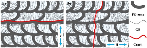 Figure 15. Schematic diagram of the crack growth path of as-aged samples under cyclic loading in the V direction (a) and H direction (b).