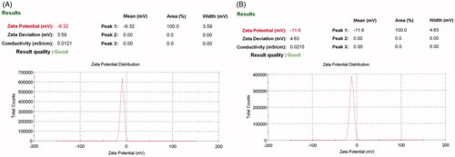 Figure 2. Zeta potential of blank ethosomes (A) and capsaicin-loaded ethosomes (B).