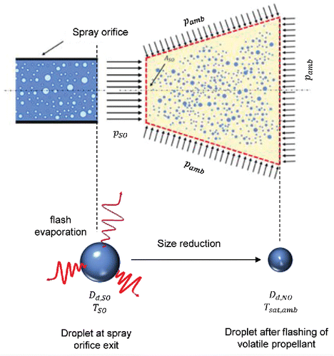 Figure 3. Schematic of spray development in near-orifice region immediately downstream from spray orifice in choked conditions, illustrating propellant flashing and associated droplet size reduction.