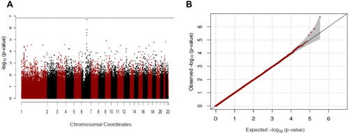 Figure 3 (A) Manhattan and (B) Q-Q plots for GWAS analysis of early COPD based on the GENIE cohort after propensity score matching using age, sex, and BMI.