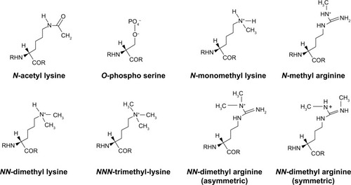 Figure 3 Chemical structures of major histone modifications.