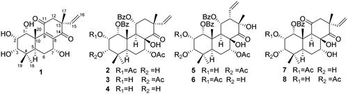 Figure 1. Chemical structures of diterpenoids 1 − 8 isolated from O. aristatus.