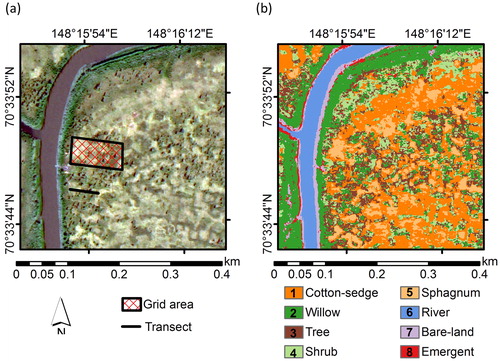 Fig. 2. (a) True colour image and (b) vegetation map showing nine vegetation classes on the site scale (400 × 400 m) at site K (Kodac). The lake class does not appear at this scale, and therefore the map was covered by eight classes only, as shown in (b).