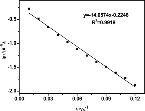 Figure 6 The relationship between anodic peak current and the scanning rate (0.01–-0.13 V s −1) for CT-DNA/Au.