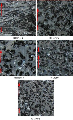 Figure 5. Stereological photographs of snow samples on February 23: (a) Layer 1 (depth hoar), (b) Layer 2 (facets), (c) Layer 3 (facets/round mix), (d) Layer 4 (rounds), (e) Layer 5 (facets/round mix).