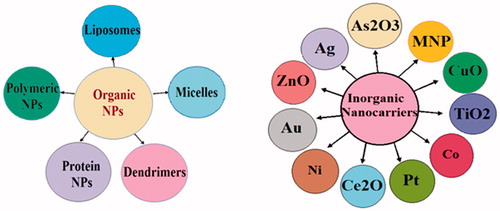 Figure 4. Frequently used organic and inorganic nanocarriers in breast cancer.