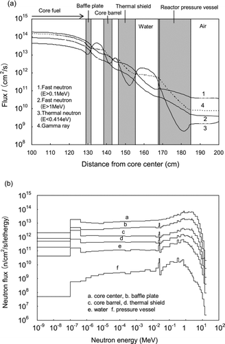Figure 1 Examples of (a) intensity distribution of neutrons and gamma rays and (b) neutron energy spectrum within the RPV in a PWR (figures drawn using radiation transport calculation data from [Citation8])