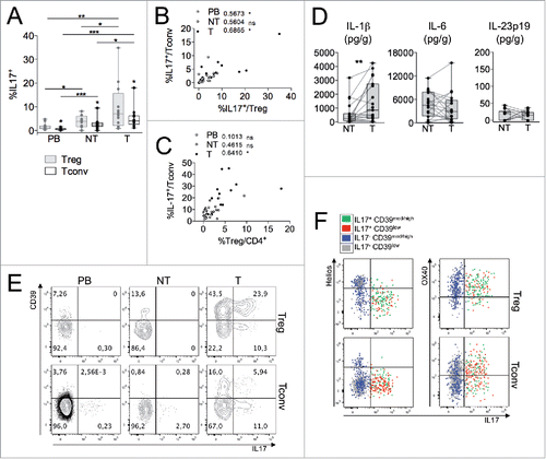 Figure 5. Th17-like Tregs, contained in the CD39highHelioslow subset, accumulate at T site. (A) Percentages of IL-17-producing Tregs and Tconvs in different compartments from CRC patients (n = 14). *p < 0 .05, **p < 0 .01, ***p < 0 .005, by Student t test, paired, between Tregs and Tconvs, or by Wilcoxon matched-pairs test between different districts. (B–C) Spearman correlations between the percentages of IL-17+ Tconvs and Tregs (B) and of IL-17+ Tconvs respect to total Tregs (C). *p < 0 .05; ns, not significant. (D) Cytokine amounts (estimated as the pg released in 18 h per gram of tissue) in NT- compared to T-CM from CRC patients (n = 19). **p < 0 .01, by Wilcoxon matched-pairs test. (E) Representative IL-17 versus CD39 expression in Tregs or Tconvs from the indicated districts. (F) Representative IL-17 vs. Helios (left) or OX40 (right) expression in T-Treg and T-Tconv subsets distinguished on the basis of CD39 and IL-17 expression. Data shown are representative from one out of four patients tested.