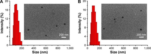 Figure 4 Size distribution and morphology of NCM and CCM.Notes: Size distribution and morphology of NCM (A) and CCM (B) measured by DLS and TEM.Abbreviations: DLS, dynamic light scattering; TEM, transmission electron microscope; NCM, noncross-linked micelle; CCM, cross-linked micelle.