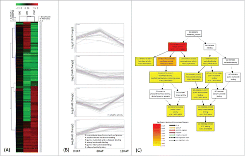 Figure 4. Classification of genes regulated by P. indica colonization. 464 DEGs were identified by comparing transcripts from P. indica+/Drought- and P. indica-/Drought-. (II in Fig. 2A) (A), (B) same as Fig. 3. (C) Deposition of catalytic activity (B) related genes by GO enrichment analysis, and the graph was automatically generated by agriGO.