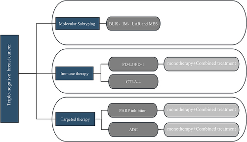 Figure 1 Modern treatment framework for triple-negative breast cancer patients.