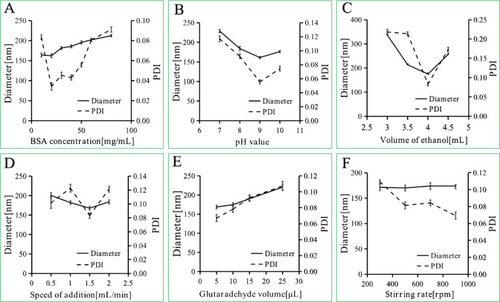 Figure 2 Diameter and PDI of BSA NPs prepared by different BSA concentrations (A), pH values (B), ethanol volume (C), speed of ethanol addition (D), speed of stirring rate (E), glutaraldehyde concentrations (F).