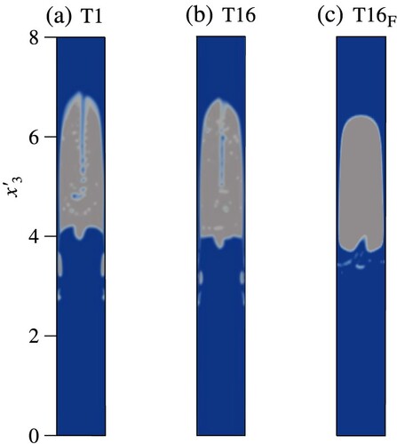 Figure 2. Snapshot of the Taylor bubble at the cross-section x2′=0 and dimensionless time t′=2.90 of (a) the prototype, (b) T16 and (c) T16F