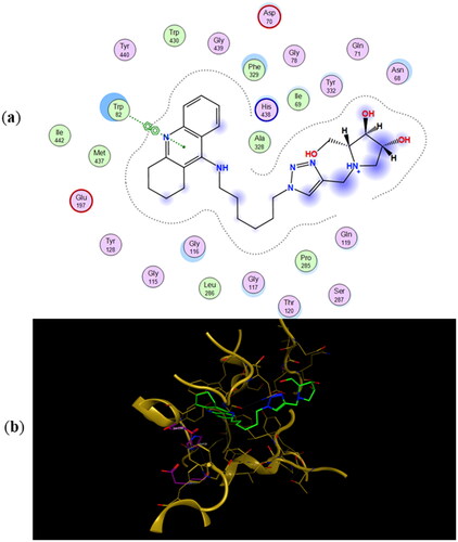 Figure 6. (a) Docking simulations for the interactions in the 11a-hBuChE complex. (b) Three-dimensional structure of hBuChE showing the binding mode of compound 11a. The residues, Ser198, His438 and Glu325, corresponding to the catalytic triad are depicted in sticks.