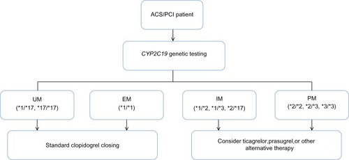Figure 3 Pharmacogenetic algorithm for initiation of antiplatelet therapy based on CYP2C19 genotype recommended by the Clinical Pharmacogenetics Implementation Consortium.