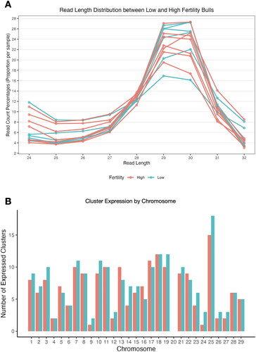 Figure 1. Read length distribution and piRNA cluster expression in bovine sperm samples. A comparison of piRNA characteristics between high (red) and low (blue) fertility bulls. (A) Relative abundance of piRNA read lengths within the standard size of piRNAs: 24 – 32 nucleotides. (B) Number of reads mapping to documented piRNA clusters on each chromosome in high and low fertility bulls.
