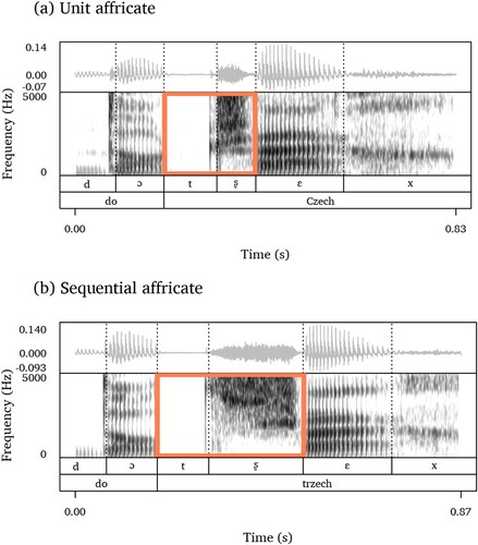 Figure 1. Waveforms and spectrograms of the first author pronouncing do Czech (a), top panel, and do trzech (b), bottom panel. Re-creation of one example from Zagórska-Brooks (Citation1964).