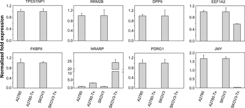 Figure S8 Inhibition effects of target genes of three miRNA in A2780/A2780-Tx and SKOV3/SKOV3-Tx.