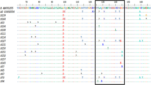 Figure 3. HBV S gene amino acid sequence alignment using bioedit software.