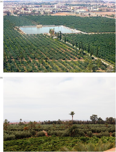 Figure 2. Early green spaces created with traditional landscaping and hydrological technology in the urban fabric of Marrakech City. (a) Menara gardens planted with olive trees laid out during the period of the Almohad Caliphate (1121–1269); source: Les Jardins de l‘Agdal—Jardins et site historique sur My Little Kech (b) Marrakech palmeraie (“palm grove”) listed and protected as historical monuments.