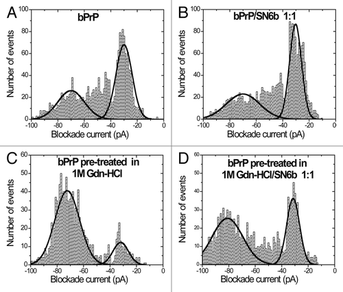 Figure 1. Nanopore analysis demonstrates E.coli expressed bovine PrPC does not interact with antibody SN6b in the absence of Gdn-HCl. Current blockade histograms for bPrP and antibody SN6b. (A) bPrP, (B) bPrP with SN6b at a 1:1 ratio, (C) bPrP pre-treated in 1M Gdn-HCl, (D) bPrP pre-treated in 1M Gdn-HCl with SN6b at a 1:1 ratio. The values are listed in Table 1.