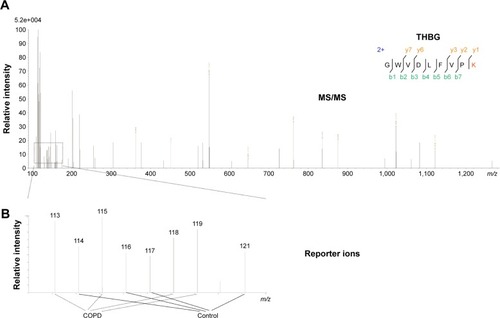 Figure 2 Identification of THBG by iTRAQ.