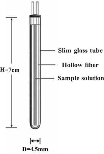 Figure 1 Hollow fiber centrifugal ultrafiltration device (HFCF-UF).