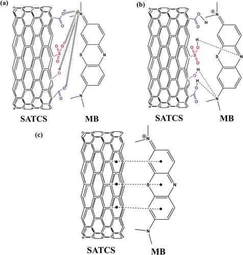 Figure 10. Illustration of the possible interaction between the SATCS and MB: (a) electrostatic attraction, (b) H-bonding interaction, and (c) π-π interactions.