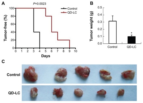 Figure 5 In vivo monitoring of tumor formation of H22 liver cancer cells.Notes: (A) Kaplan–Meier curves showing tumor-free mouse analysis using GraphPad Prism 4 software (GraphPad Software, Inc., La Jolla, CA, USA). (B) Tumor weight analysis at the end of the experiment. Data are presented as means ± SD, n=5, *P<0.01 versus control group. (C) Photograph of the dissected tumor tissues for each treatment group.Abbreviations: QD-LC, CdTe/CdS core/shell quantum dot–lipids complex; SD, standard deviation.