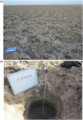 Figure 2. Surface salt crust (a) and sampling pit (b). The surface of Lop Nur (a) is covered by dry hard salt crust, which has cracked, cocked, and been overlaid. In the sampling pit (b), the subsurface shows a clear moisture change from the surface to bottom.