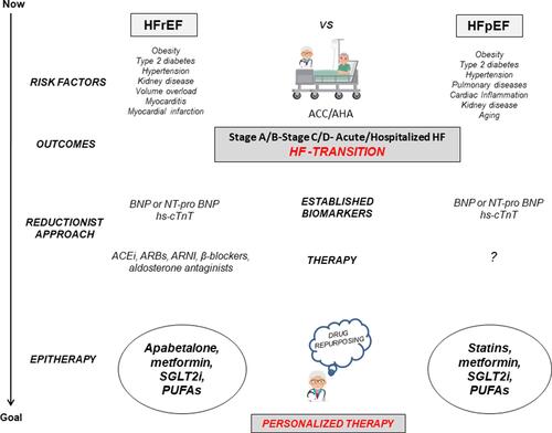 Figure 1 The possible role of epitherapy in the current framework of HFrEF and HFpEF management. The unstable transition state from the ACC/AHA Stage A/B to Stage C/D-Acute/Hospitalized HF is the key point in the treatment of HFrEF and HFpEF. The epitherapy, mainly apabetalone, statins, metformin, SGLT2i, and PUFAs in addition to the standard of the care may improve personalized therapy of affected patients.
